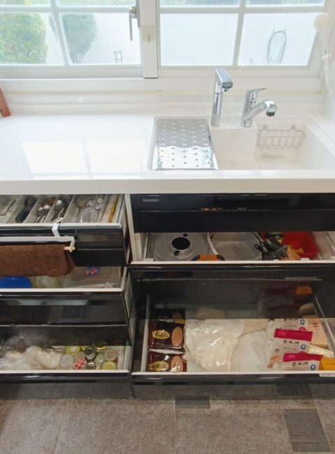 326060623_487517140224512_401847828463906756_n